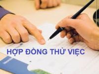 Ký kết hợp đồng đào tạo có được đóng BHXH hay không? Ký kết hợp đồng đào tạo có được đóng BHXH hay không?